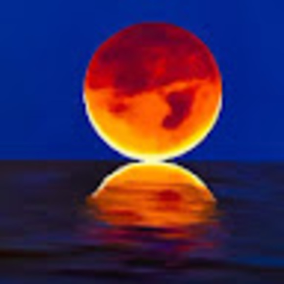 Meet your Posher, Fayza - Picture 1 of 1